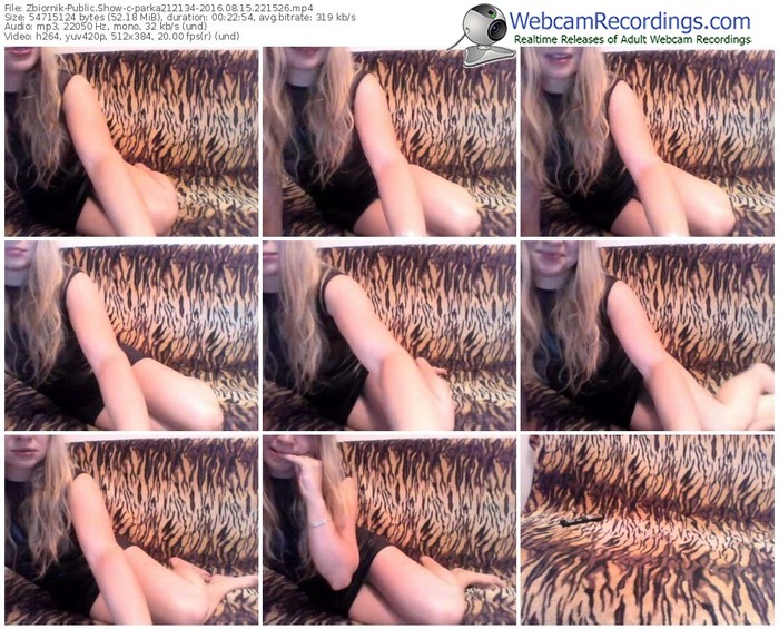 zbiornik-parka212134-webcam-show-08_15_2016-22_15_26
