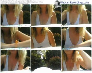 zbiornik-the__sims-webcam-show-08_15_2016-11_05_15