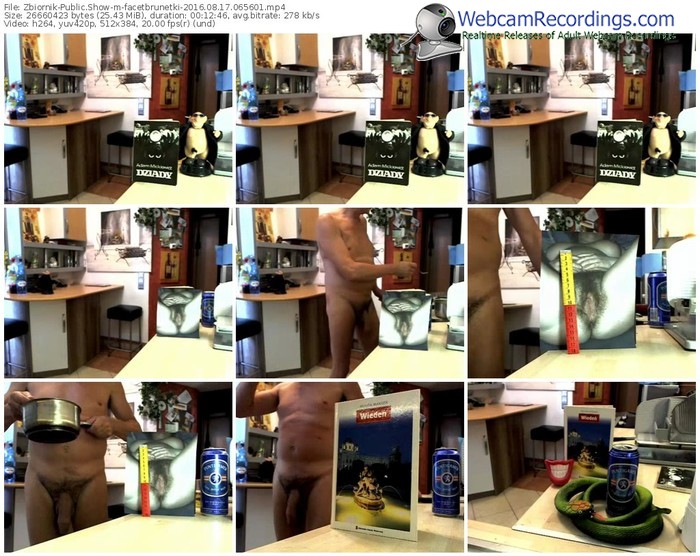 zbiornik-facetbrunetki-webcam-show-08_17_2016-06_56_01