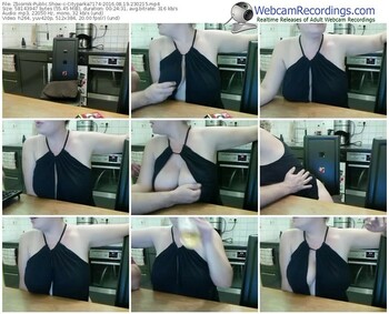 zbiornik-cityparka7174-webcam-show-08_19_2016-23_02_15