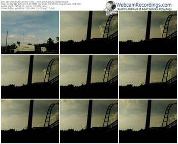 zbiornik-the__sims-webcam-show-08_20_2016-14_42_32