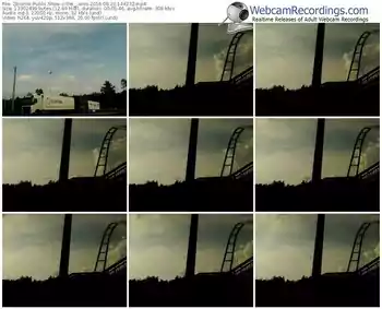 zbiornik-the__sims-webcam-show-08_20_2016-14_42_32