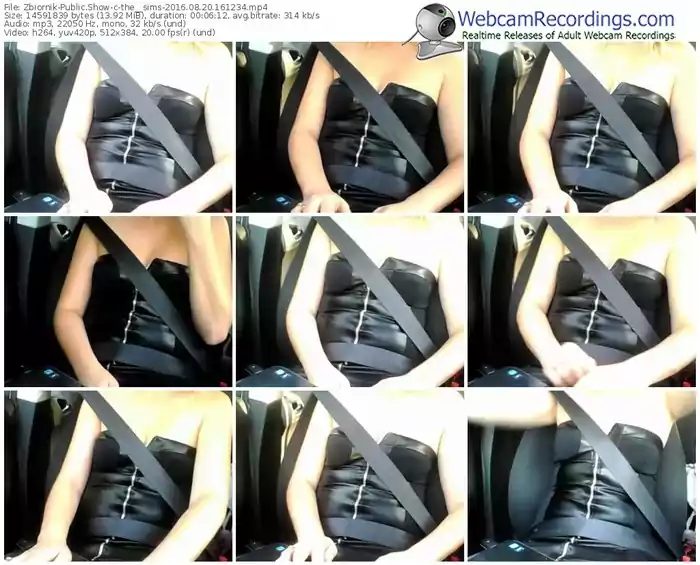 zbiornik-the__sims-webcam-show-08_20_2016-16_12_34