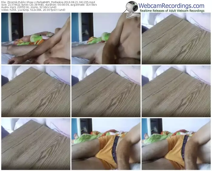 zbiornik-parka8485_podlaskie-webcam-show-08_21_2016-04_12_35