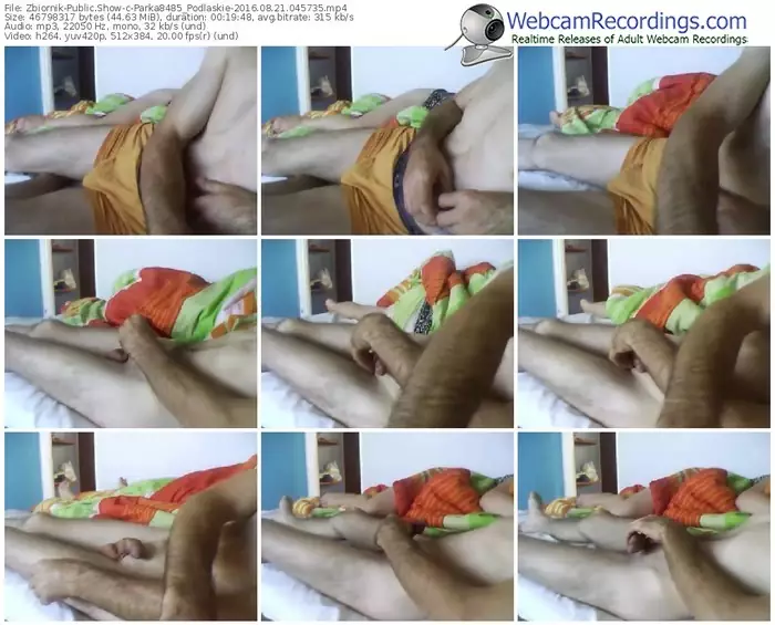 zbiornik-parka8485_podlaskie-webcam-show-08_21_2016-04_57_35