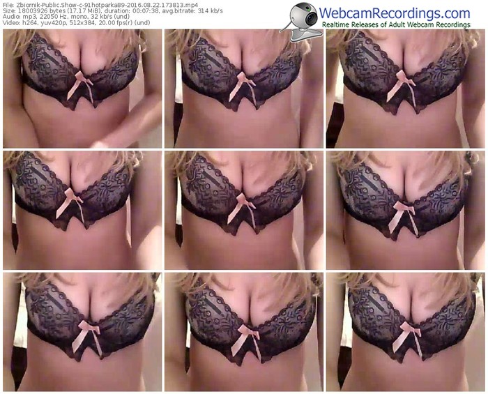 zbiornik-91hotparka89-webcam-show-08_22_2016-17_38_13