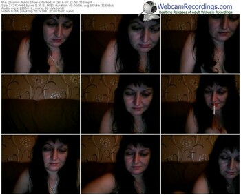 zbiornik-parka81o-webcam-show-08_22_2016-00_17_53