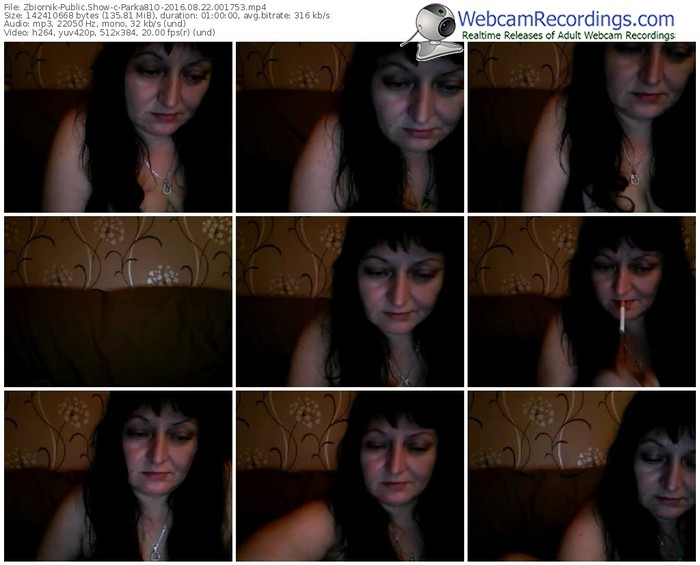 zbiornik-parka81o-webcam-show-08_22_2016-00_17_53