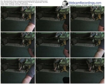 zbiornik-lesneszyszeczkiparka-webcam-show-08_22_2016-16_48_12