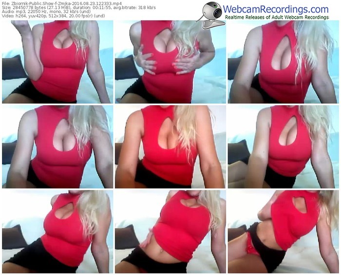 zbiornik-zmjka-webcam-show-08_23_2016-12_23_33