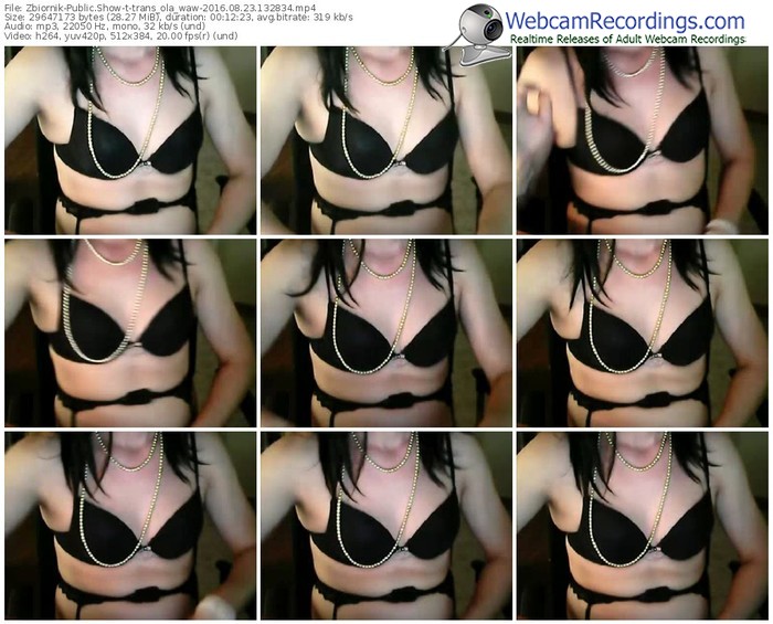 zbiornik-trans_ola_waw-webcam-show-08_23_2016-13_28_34