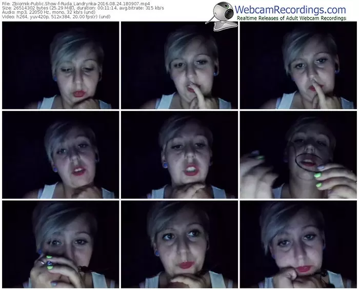 zbiornik-ruda_landrynka-webcam-show-08_24_2016-18_09_07