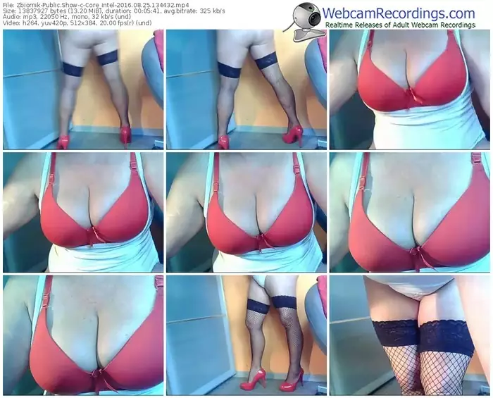 zbiornik-core_intel-webcam-show-08_25_2016-13_44_32