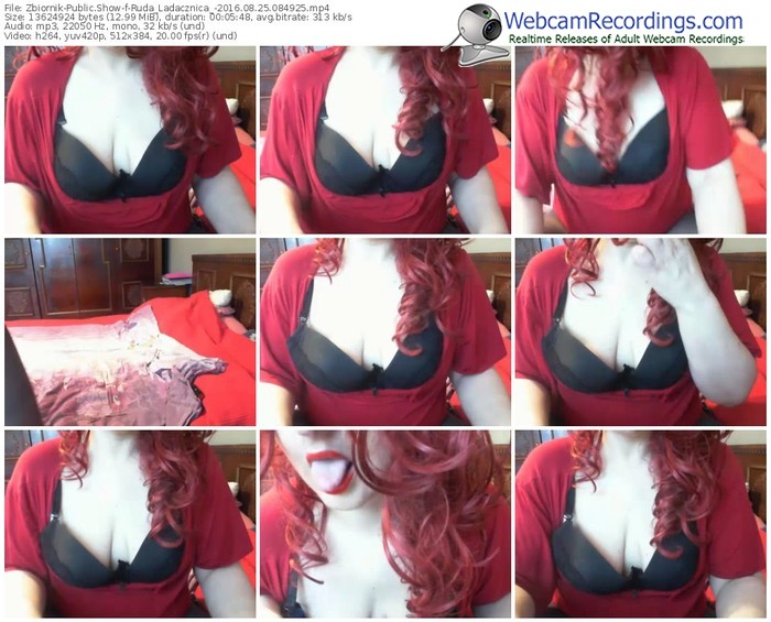 zbiornik-ruda_ladacznica_-webcam-show-08_25_2016-08_49_25