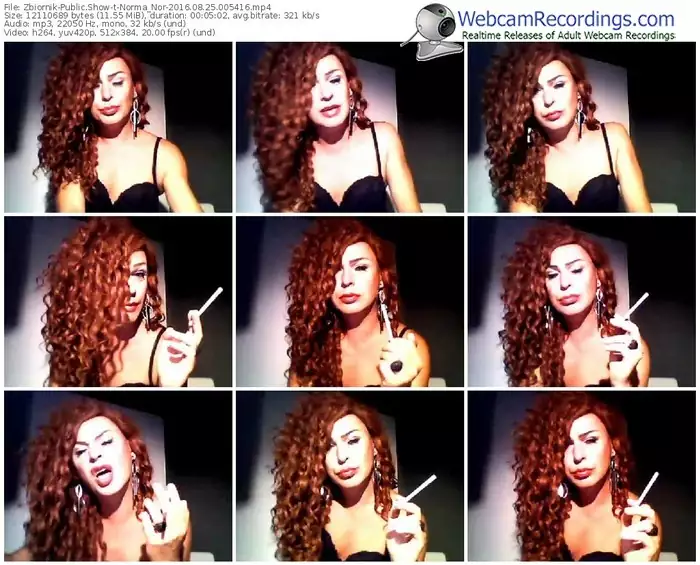 zbiornik-norma_nor-webcam-show-08_25_2016-00_54_16