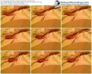 zbiornik-mokromi-webcam-show-08_27_2016-22_17_45