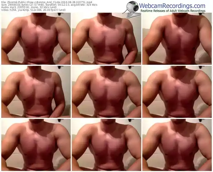 zbiornik-bonnie_and_clyde-webcam-show-08_28_2016-02_27_51