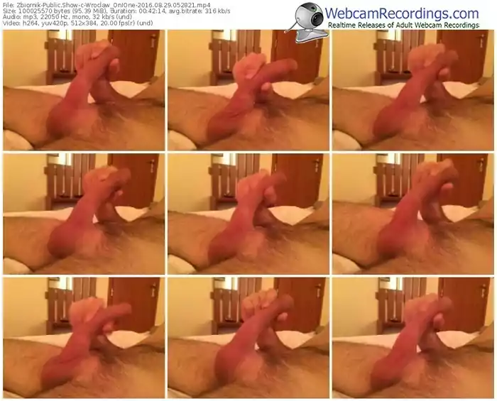 zbiornik-wroclaw_onione-webcam-show-08_29_2016-05_28_21