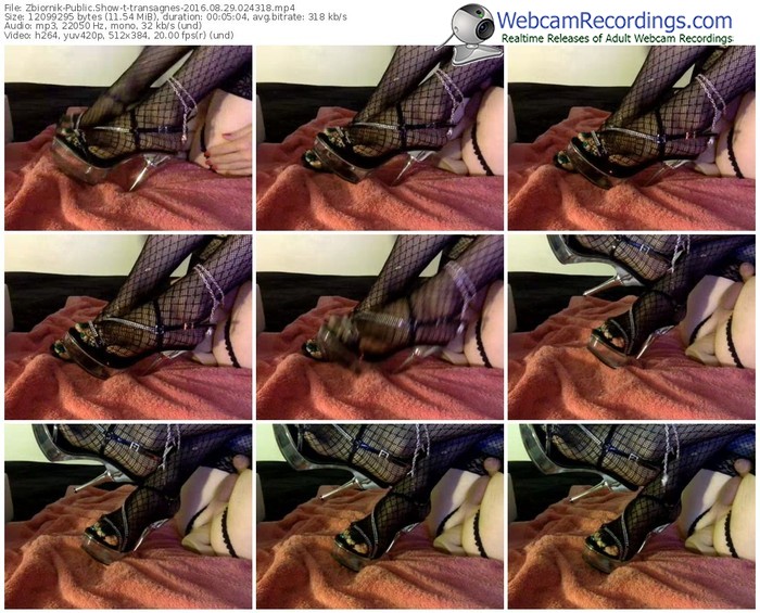 zbiornik-transagnes-webcam-show-08_29_2016-02_43_18