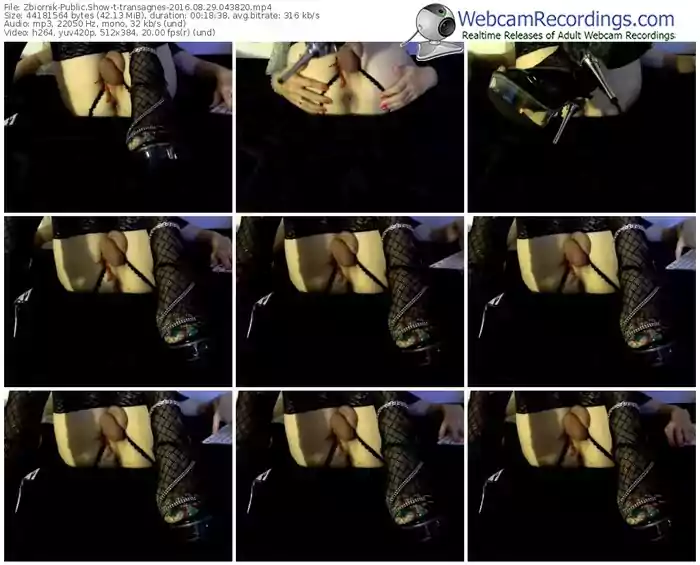 zbiornik-transagnes-webcam-show-08_29_2016-04_38_20