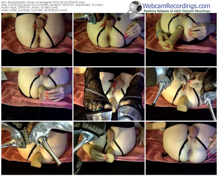 zbiornik-transagnes-webcam-show-08_29_2016-05_53_22