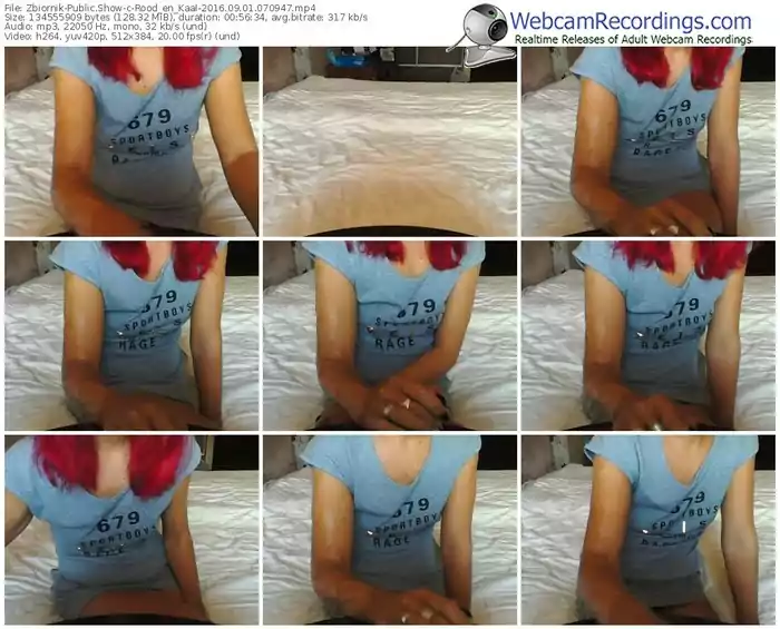 zbiornik-rood_en_kaal-webcam-show-09_01_2016-07_09_47