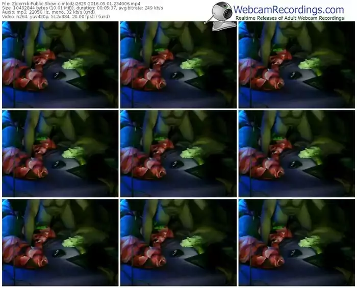 zbiornik-mlodzi2629-webcam-show-09_01_2016-23_40_06