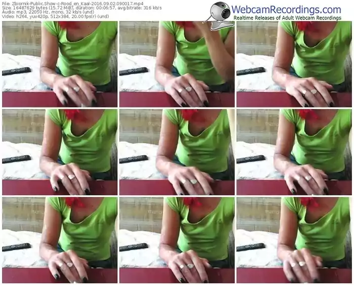 zbiornik-rood_en_kaal-webcam-show-09_02_2016-09_00_17