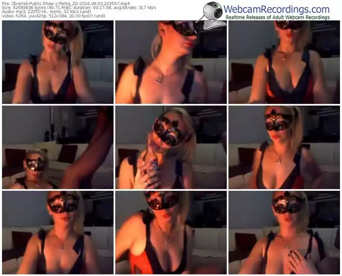 zbiornik-parka_zg-webcam-show-09_03_2016-20_35_57