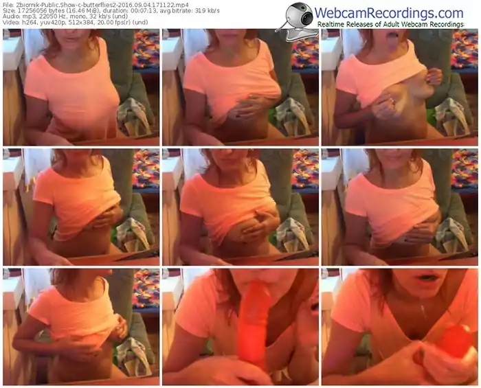 zbiornik-butterflies2-webcam-show-09_04_2016-17_11_22