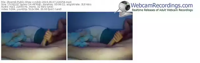 zbiornik-rybiki-webcam-show-09_07_2016-22_42_54