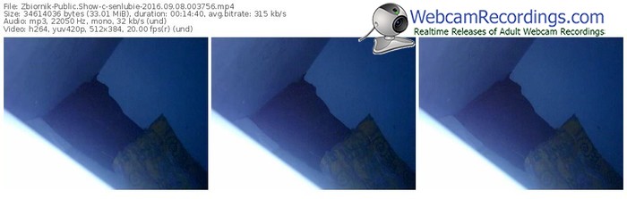 zbiornik-senlubie-webcam-show-09_08_2016-00_37_56