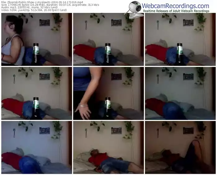 zbiornik-myslowitz-webcam-show-09_14_2016-17_10_16