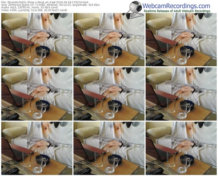 zbiornik-rood_en_kaal-webcam-show-09_18_2016-13_31_54