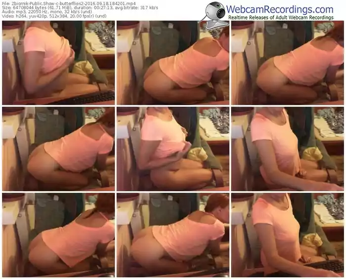 zbiornik-butterflies2-webcam-show-09_18_2016-18_42_01