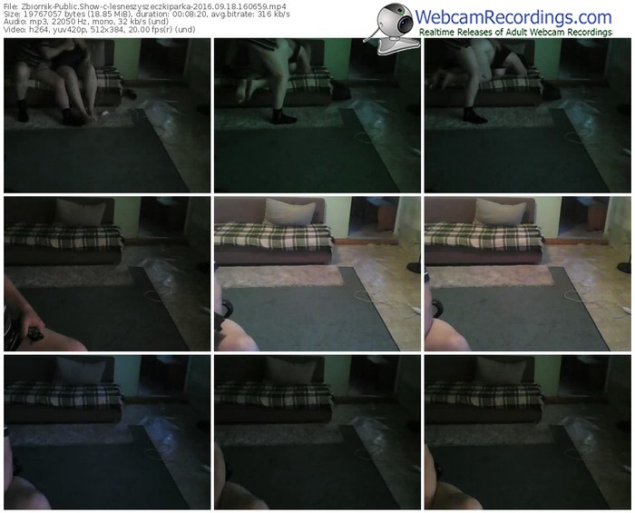 zbiornik-lesneszyszeczkiparka-webcam-show-09_18_2016-16_06_59
