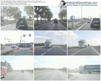 zbiornik-kotka_kocurek-webcam-show-09_26_2016-11_48_03