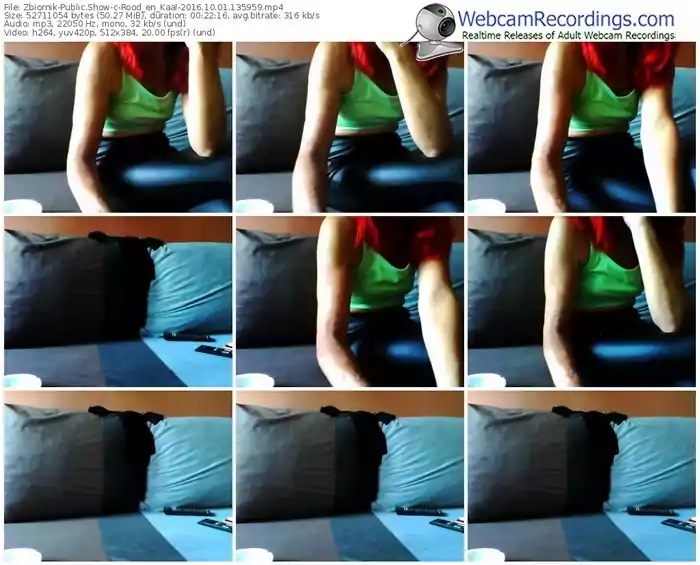 zbiornik-rood_en_kaal-webcam-show-10_01_2016-13_59_59