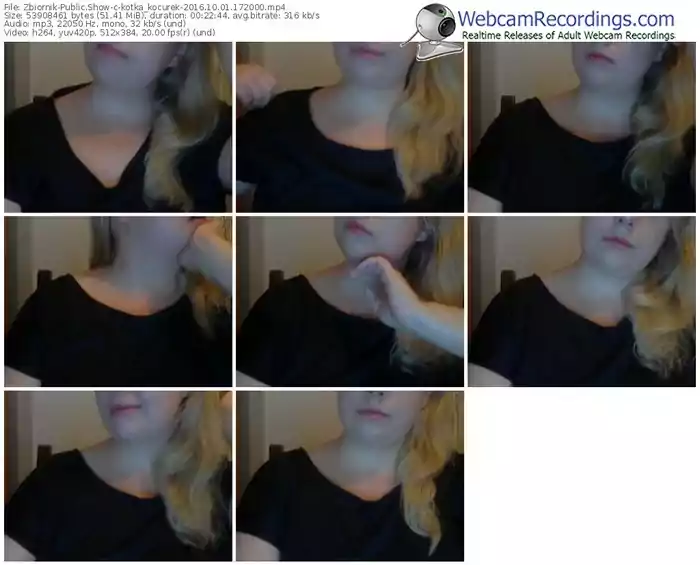 zbiornik-kotka_kocurek-webcam-show-10_01_2016-17_20_00