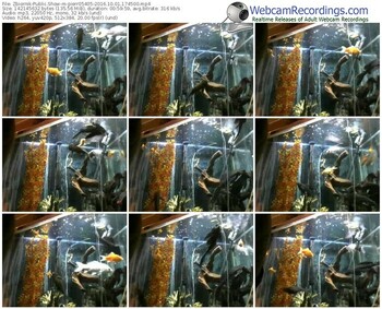 zbiornik-pierr05405-webcam-show-10_01_2016-17_45_00