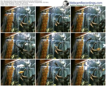 zbiornik-pierr05405-webcam-show-10_01_2016-18_45_00