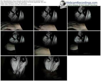 zbiornik-wredny_rudzielec-webcam-show-10_02_2016-03_30_03