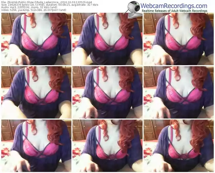 zbiornik-ruda_ladacznica_-webcam-show-10_03_2016-13_35_23