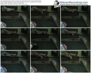 zbiornik-lesneszyszeczkiparka-webcam-show-10_05_2016-15_00_38