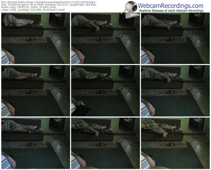 zbiornik-lesneszyszeczkiparka-webcam-show-10_05_2016-15_00_38