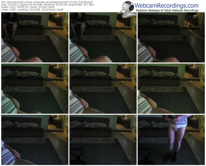 zbiornik-lesneszyszeczkiparka-webcam-show-10_05_2016-15_30_38