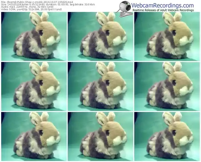 zbiornik-croolik-webcam-show-10_07_2016-16_56_26