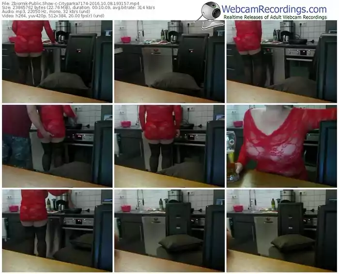 zbiornik-cityparka7174-webcam-show-10_08_2016-19_31_57