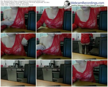 zbiornik-cityparka7174-webcam-show-10_08_2016-20_06_57