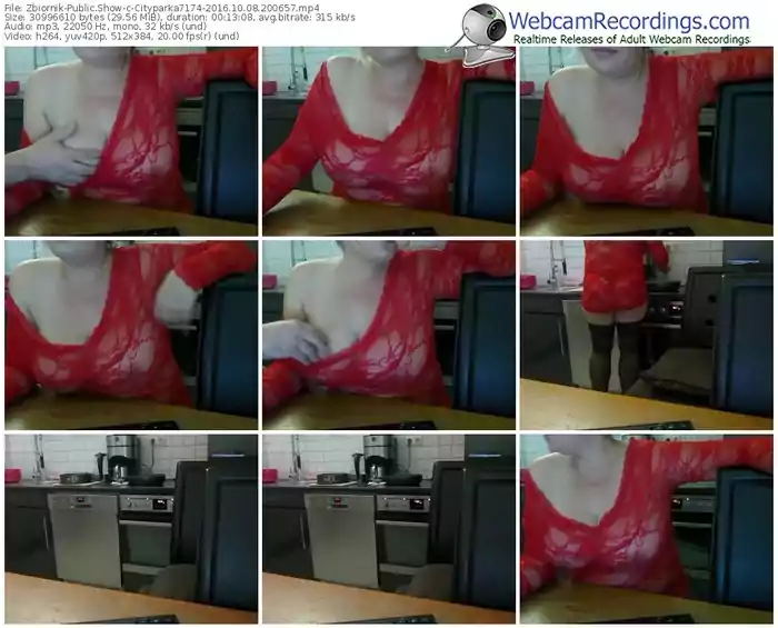 zbiornik-cityparka7174-webcam-show-10_08_2016-20_06_57